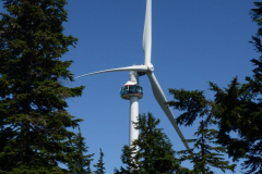 120803-04 - Mishmesh Tourist