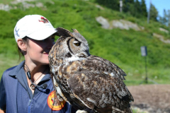 120803-04 - Mishmesh Tourist