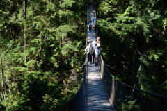 120803-04 - Mishmesh Tourist