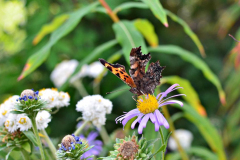 120908 - Artist Point