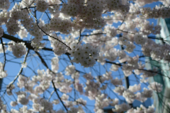 130331 - Light House Park