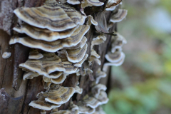 130331 - Light House Park