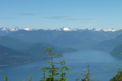 130701 - Cypress on a hot day