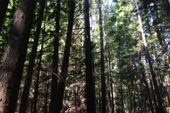 14 Summer Outdoors