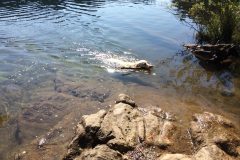 14 Summer Outdoors