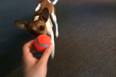 iOS Photos