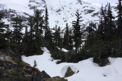 15 Whistler trip