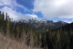 15 Whistler trip