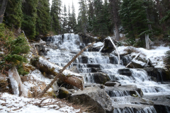 15 Whistler trip