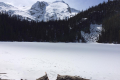 15 Whistler trip