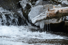 15 Whistler trip
