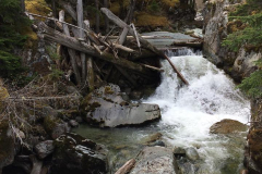 15 Whistler trip