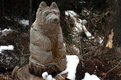 15 Whistler trip