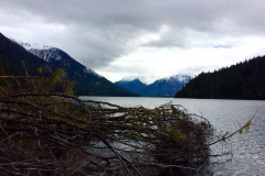 15 Whistler trip
