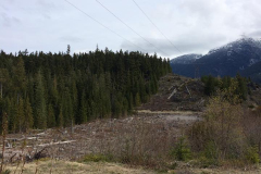 15 Whistler trip