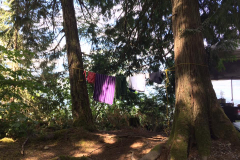 150717 My first Camping Trip!