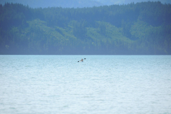 150717 My first Camping Trip!