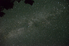 150717 My first Camping Trip!