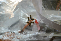 150821 - Camping Trip 2!