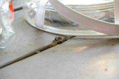 150821 - Camping Trip 2!