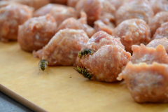 150821 - Camping Trip 2!