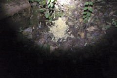 150821 - Camping Trip 2!