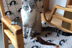1605 Catfe again