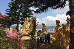 17 Asia trippy