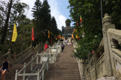17 Asia trippy