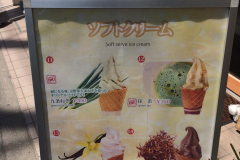 17 Asia trippy
