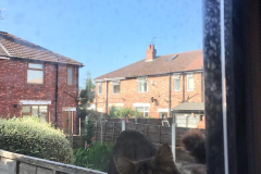 18 UK Trippy