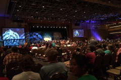 2014 vegas