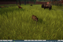 Planet Zoo