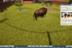 Planet Zoo
