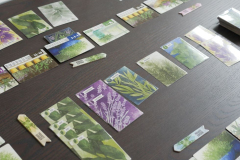 Board Games