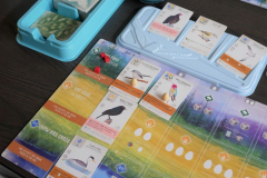 Board Games