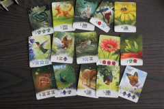 Board Games