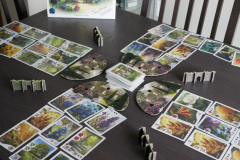 Board Games