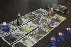 Board Games