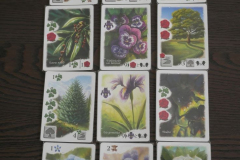Board Games