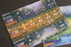 Board Games