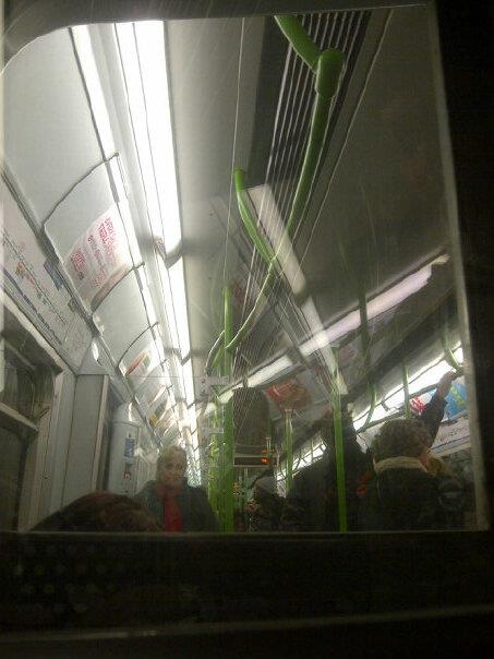Trippy mobile