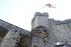 Trippy UK 2 - Day4-6 Cardiff & DWE