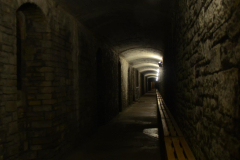 Trippy UK 2 - Day4-6 Cardiff & DWE