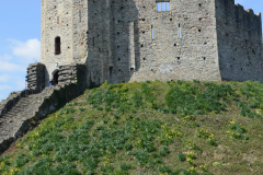 Trippy UK 2 - Day4-6 Cardiff & DWE