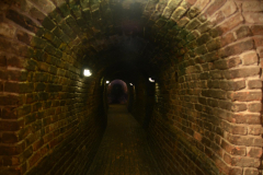 Trippy UK - Day7-8 Manchester