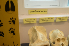 Trippy UK - Day9-10 Liverpool