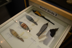 Trippy UK - Day9-10 Liverpool