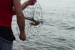 Two Hikes in One Album