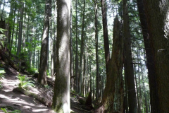 Two Hikes in One Album